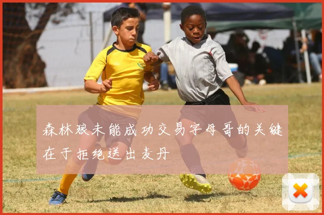 森林狼未能成功交易字母哥的关键在于拒绝送出麦丹